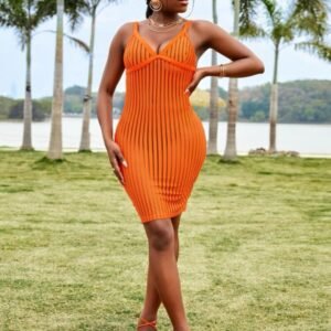Backless Mesh Dress