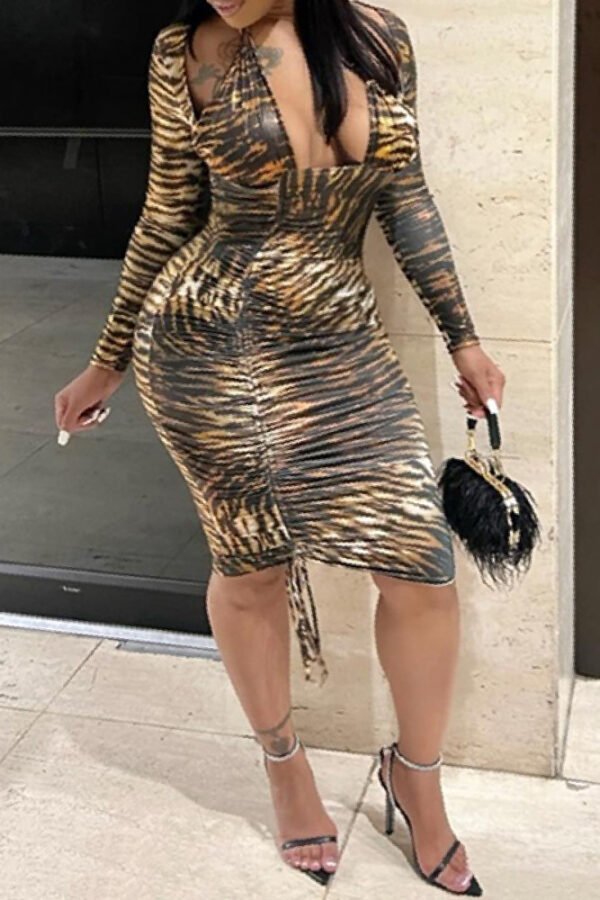 Tiger Strip Dress
