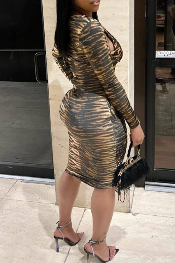 Tiger Strip Dress - Image 2